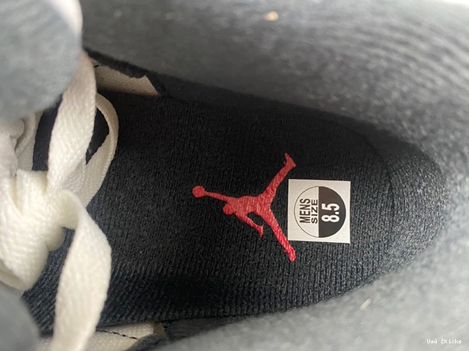 CT8532-106 “Cement Grey” Jordan Flexible 359 Air 3 1112